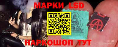 индика Обь