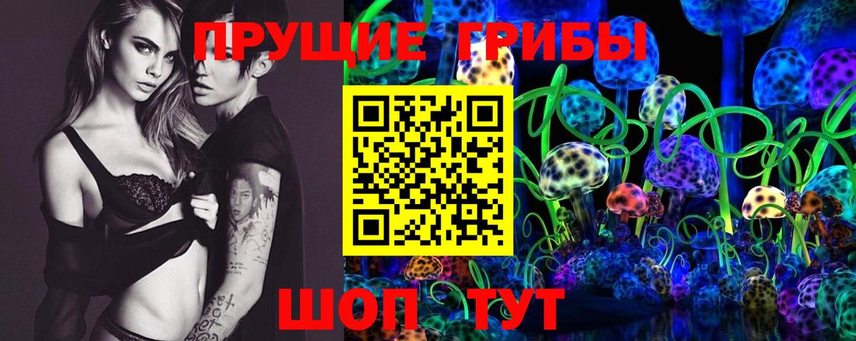 Галлюциногенные грибы GOLDEN TEACHER Северск