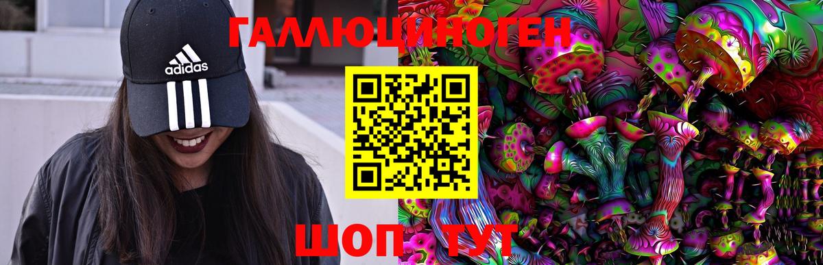 Псилоцибиновые грибы Cubensis  Псилоцибиновые грибы MAGIC MUSHROOMS  где найти   Вход с VPN  Северск 